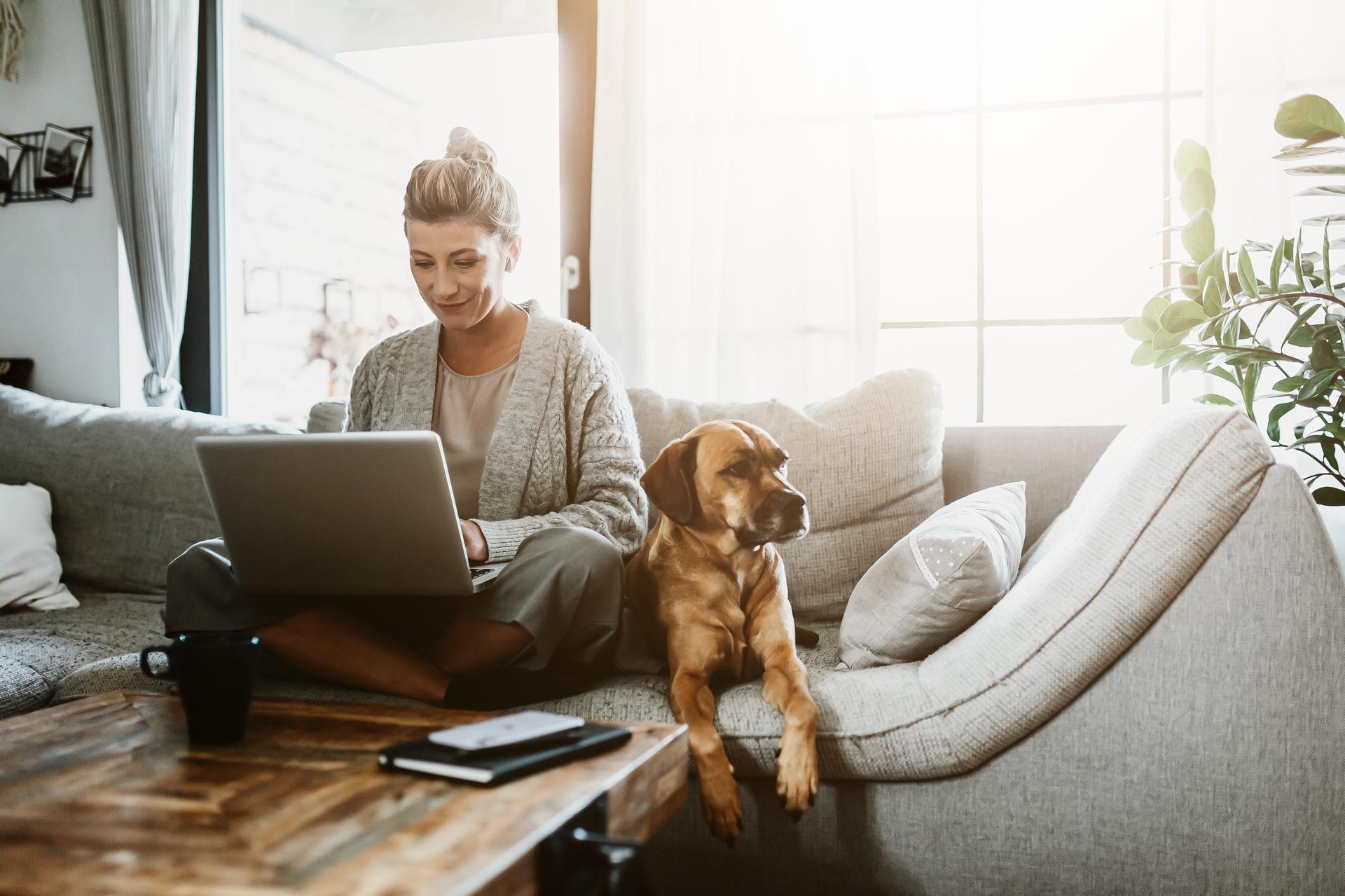 Laptoparbeit im Wohnzimmer mit Schrankbett | Schrankbett

